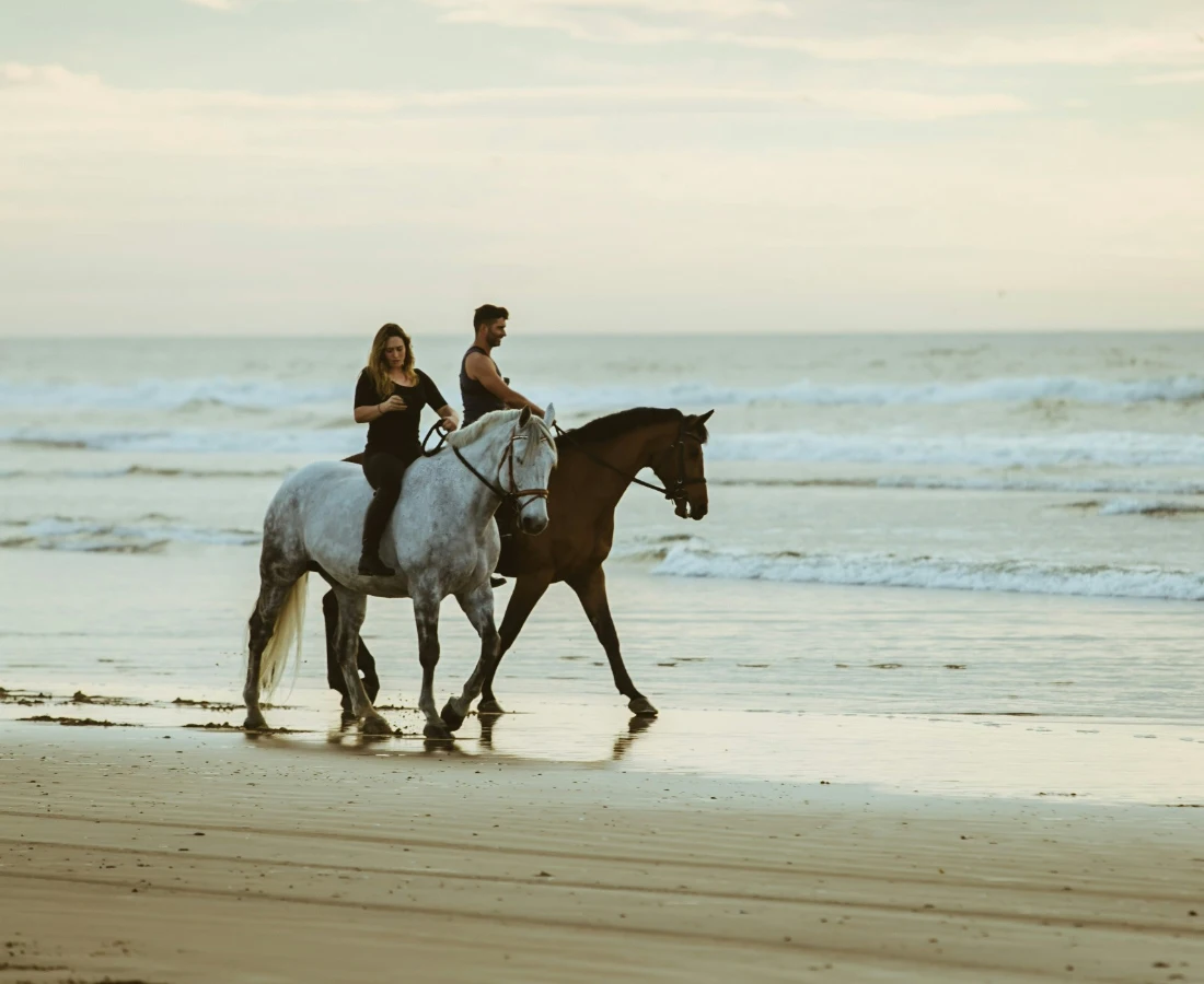 domaine_baie_de_somme
